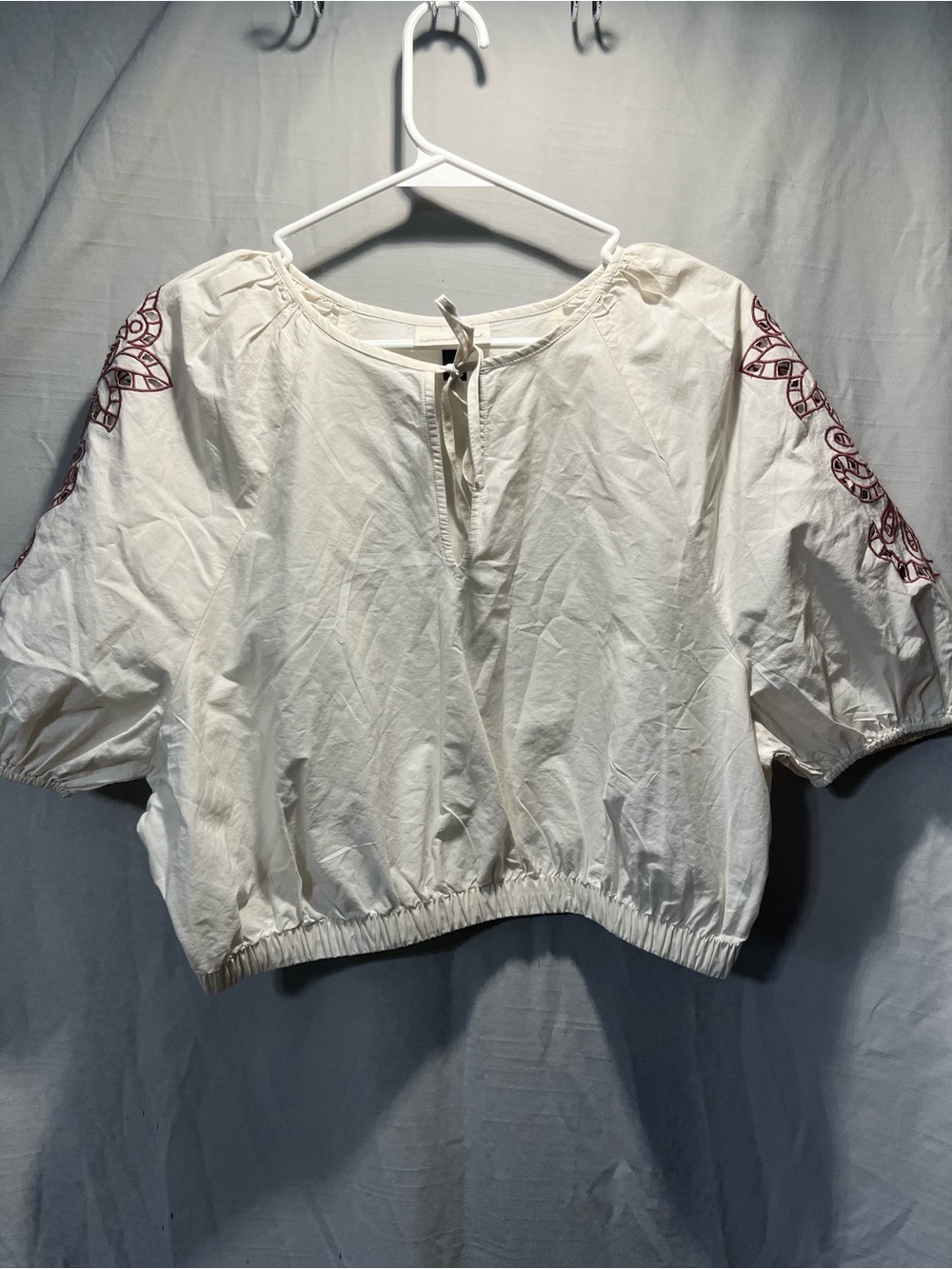 Universal Thread Ivory Peasant Crop Top with Red Embroidered Sleeves